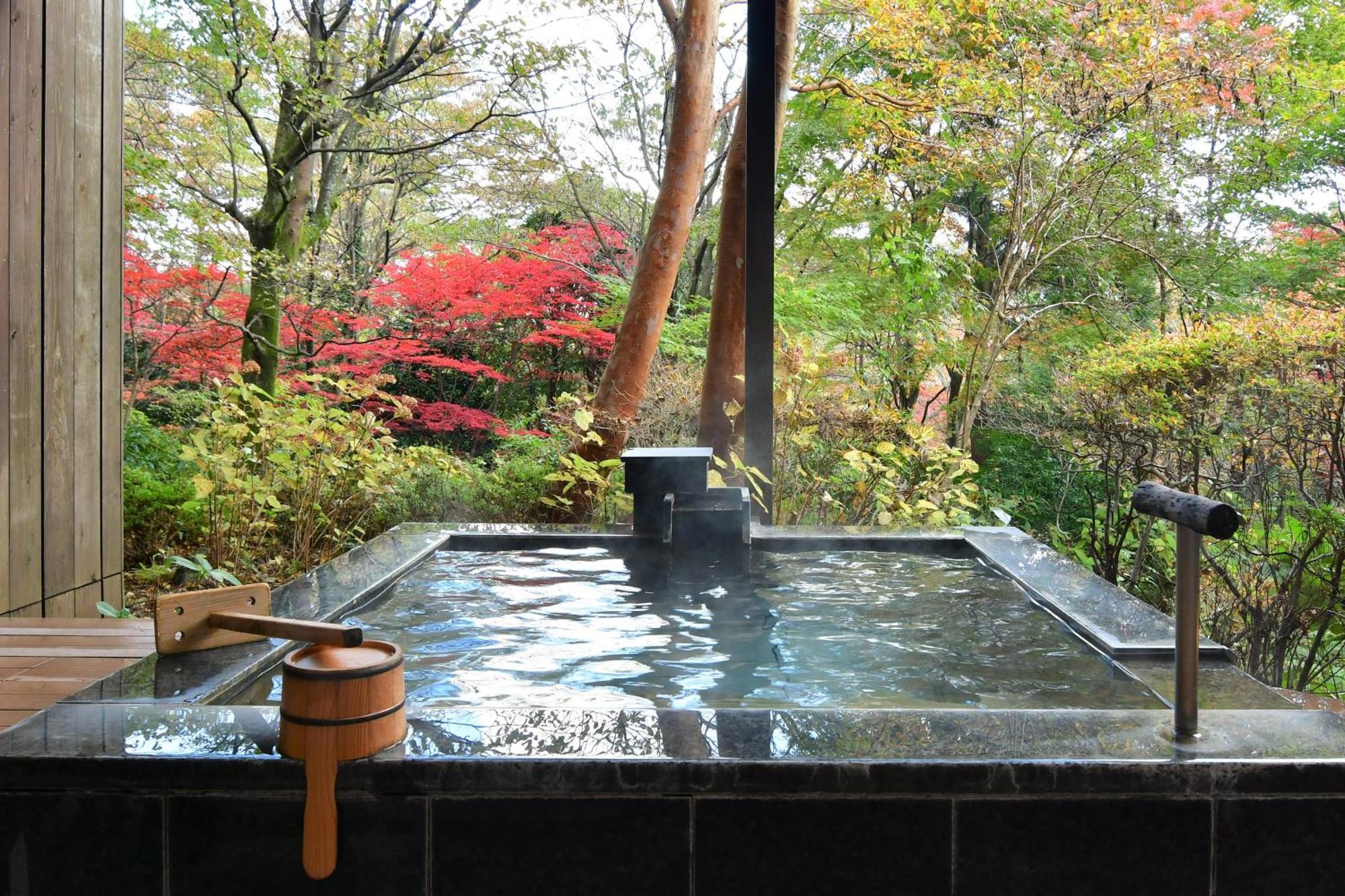 Hakone Gora Byakudan Hotel Kültér fotó